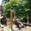 黒石市　薬師寺の石割カエデをご紹介！卍