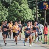 「サブ4」達成のために「サブ3.5」を目指すべし【10km・ハーフ編】