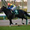 競馬初心者必見☆馬券予想🔥〜チャレンジカップ〜購入馬券大公開㊙︎