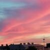 夕暮れのおしゃべり