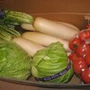 ドカ〜ンと野菜が届いた