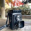 Rolleiflex Standardで秋の筑波実験植物園を撮ってきた