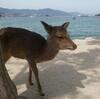 ◆宮島水族館（みやじマリン）