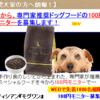 山田瑠々ちゃんがモグワンのCMに！