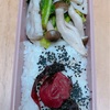 菜花弁当
