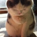 人生のヒントを探す旅
