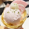 【神奈川】ドナテロウズ 湘南GATE店