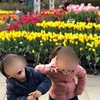 子連れでおでかけ！神奈川県江の島に行ってきました！息子これ買ってと発狂する事件