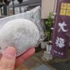 上山市　金子屋まんじゅう店　大福をご紹介！🍡