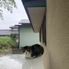 ナカそうじ集中日