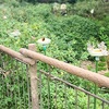 多摩動物園　昆虫生態園