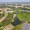 蓮池・中池・兎久保池（茨城県行方）