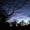 家から見えた　夕方の空