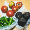 野菜の贅沢な想い出