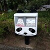 ただの育児日記、上野動物園編