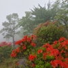 京都から「ぐんまの山旅」④