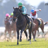 JRA秋華賞（G1）岡田代表デアリングタクト、「ファンが望めば」熱い想いに競馬ファンも大興奮……コントレイルとの対決や凱旋門賞（G1）も視野!?