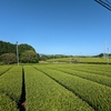 東海道歩き（藤枝→島田→金谷→日坂→掛川）