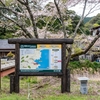 大坂谷川沿いの桜  2024.4.7