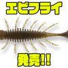 【イマカツ】大型アンクルテール付き万能シュリンプワーム「エビフライ」発売！