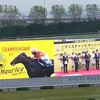 第37回マイルCS予想🐴🎫