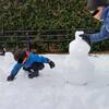 今シーズンは雪の量が凄い。