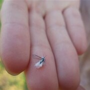豊平区 カテゴリーの記事一覧 さっぽろサイエンス観光マップ