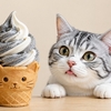  ソフトクリームを食べる猫
