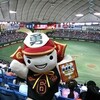 6月6日 6時 6並びじぇじぇじぇ