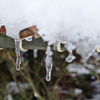 暖冬っぽい冬のはじまりが大寒波で沖縄に雪が降る