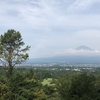 さすが山の中