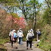 ４月１７日（日）湧ヶ淵公園探鳥会