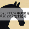 2023/11/4 中央競馬 東京 2R 2歳未勝利
