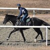 モデュロール、帰厩間近？