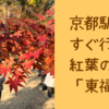 京都駅からすぐ行ける紅葉の名所「東福寺」