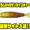 【MADNESS×ECLIPSE】金色のアピール力抜群ジャイアントベイト「バラム245サンライズチャート」通販サイト入荷！
