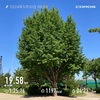 詰め合せポイント練3