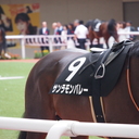 競馬のオシイレ