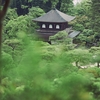 雨降る新緑と苔の銀閣寺