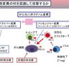 神が予想しなかったワクチン