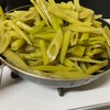健康な体を作るには　曇り