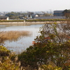 日の尺下池（仮称）（佐賀県神崎）