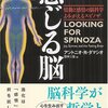 帯状皮質って中間管理職なのか (5-2)前帯状皮質(個別機能) 17)情動体験と右脳(右半球)と左脳(左半球)