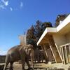 ウィークデイの動物園。