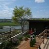 ４月の庭。。。その５　バラの挿し木を植え替え
