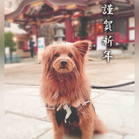 【2023】新年あけましておめでとうございます