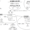 図解塾：梅棹忠夫著作集第5巻「比較文明研究」の48枚の図解講義が終了。