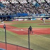 【野球観戦】オープン戦・千葉ロッテマリーンズー福岡ソフトバンクホークス＠ZOZOマリンスタジアム【20240310】