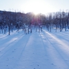 -26℃の美瑛の朝、青い池の日の出の風景と美瑛川の川霧・ダイヤモンドダスト【1月12日撮影】