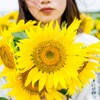 家族信託契約書を作成する際の注意点とは？